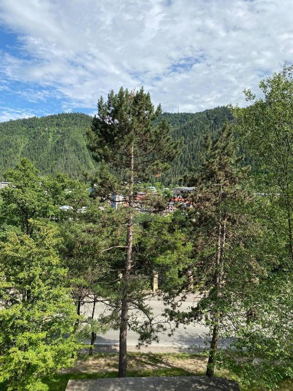 Guest House Lomidze room 6